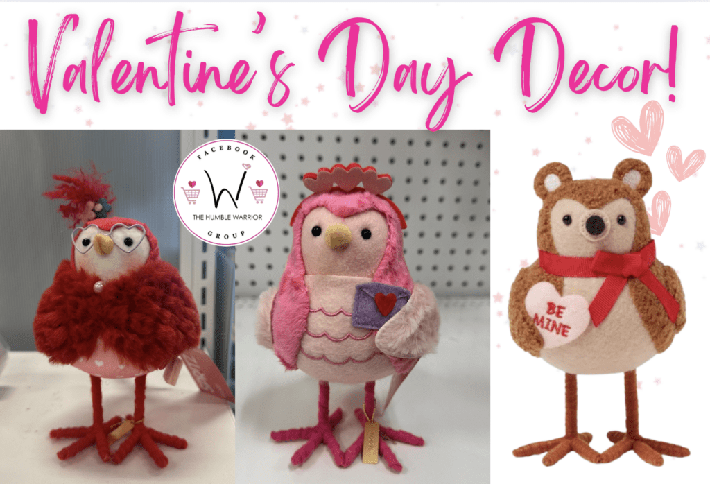 Featherly Friends Valentine’s Day Decorations!